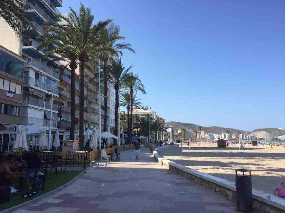New Stylish Beach Front Apartment 쿠엘라 외부 사진